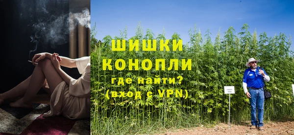 spice Каменногорск