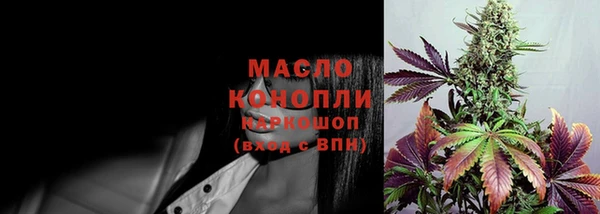 ECSTASY Каменка
