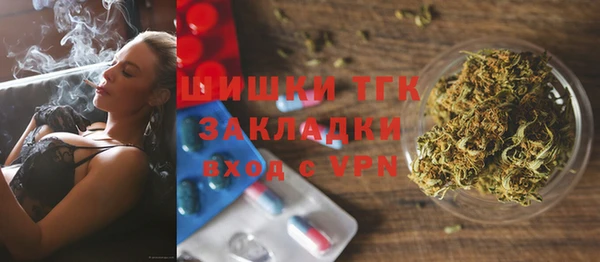 ECSTASY Каменка