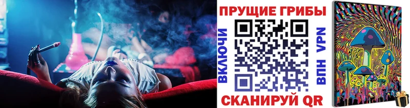 Купить закладки  Снежинск  Псилоцибиновые грибы мухоморы 