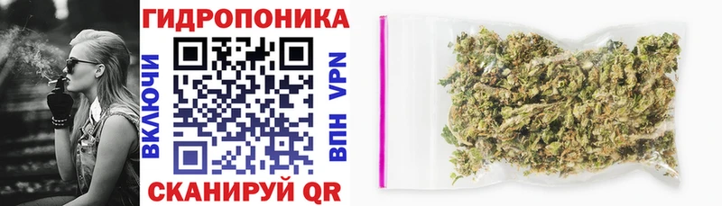 Каннабис VHQ  Купить закладки  Снежинск 